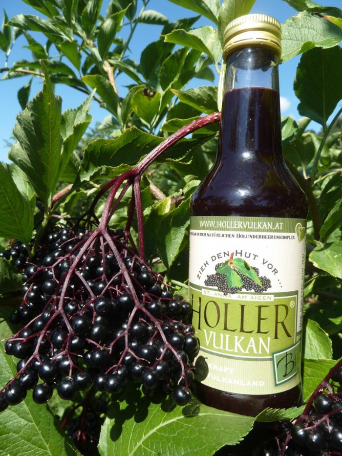 schwarzer-Holunder-black-elderberry-Sambucus-Nigra-Haschberg-Holler Vulkan-HollerVulkan-Produktfoto-P1170885